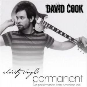 Album David Cook - Permanent