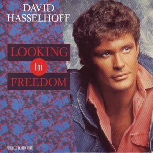 Album David Hasselhoff - Looking for Freedom
