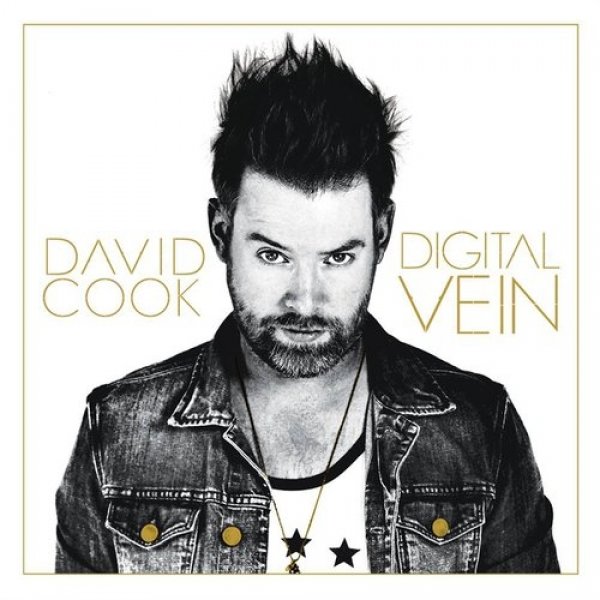 Album David Cook - Digital Vein