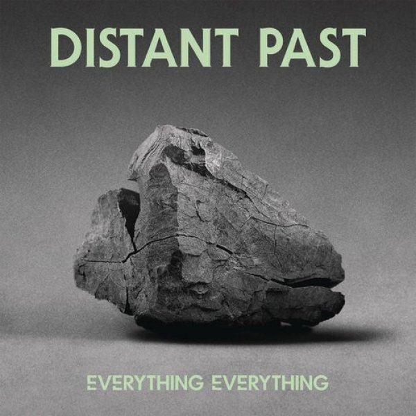 Album Everything Everything - Distant Past
