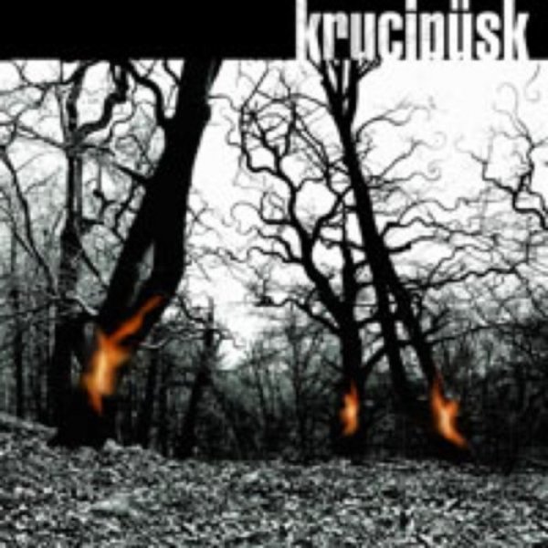 Album Krucipüsk - Druide!