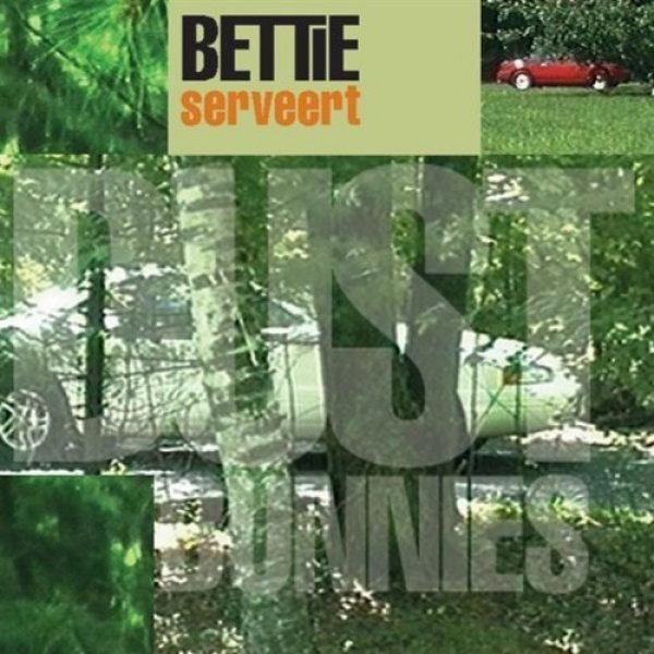 Album Bettie Serveert - Dust Bunnies