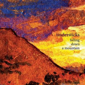 Album Tindersticks - Falling Down a Mountain