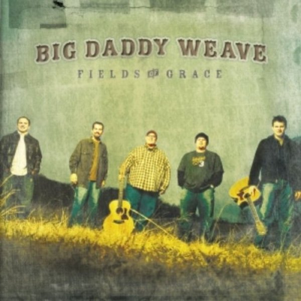 Album Big Daddy Weave - Fields of Grace