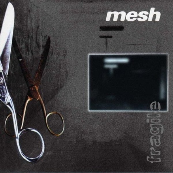 Album Mesh -  Fragile