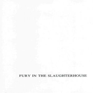 Fury in the Slaughterhouse Album 