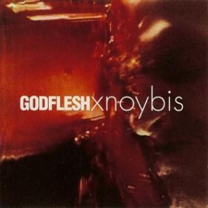 Godflesh Xnoybis, 1995