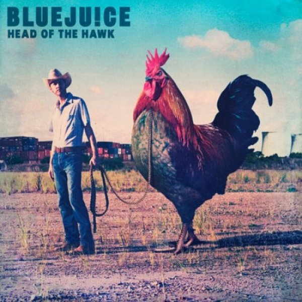 Album Bluejuice - Head of the Hawk
