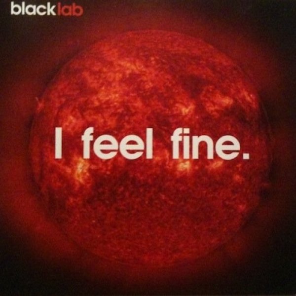 Black Lab I Feel Fine, 2003