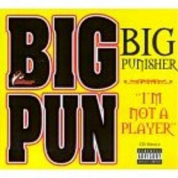 Album Big Punisher - I