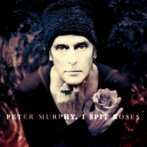 Peter Murphy I Spit Roses, 2011