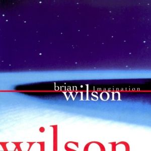 Album Brian Wilson - Imagination
