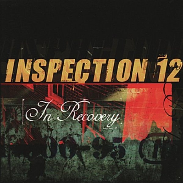 Album In Recovery - Inspection 12