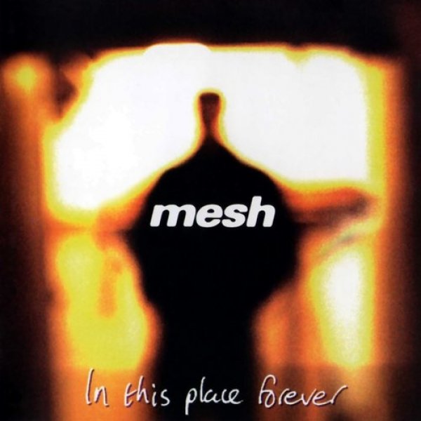 Album Mesh -  In This Place Forever