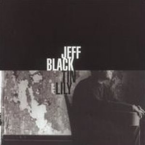 Jeff Black Tin Lily, 2005