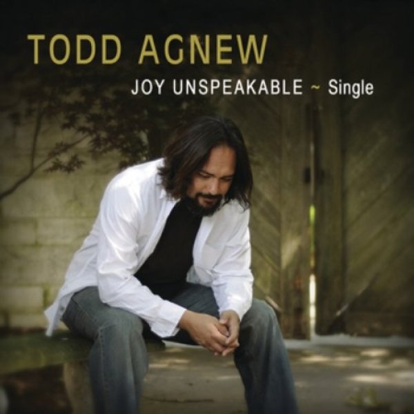 Todd Agnew Joy Unspeakable, 2009