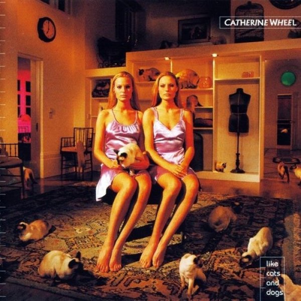 Album Catherine Wheel - Like Cats And Dogs