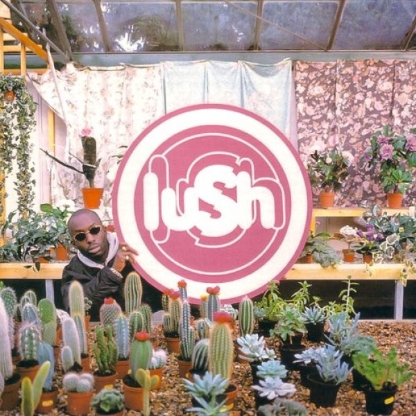 Album Lush - Lovelife
