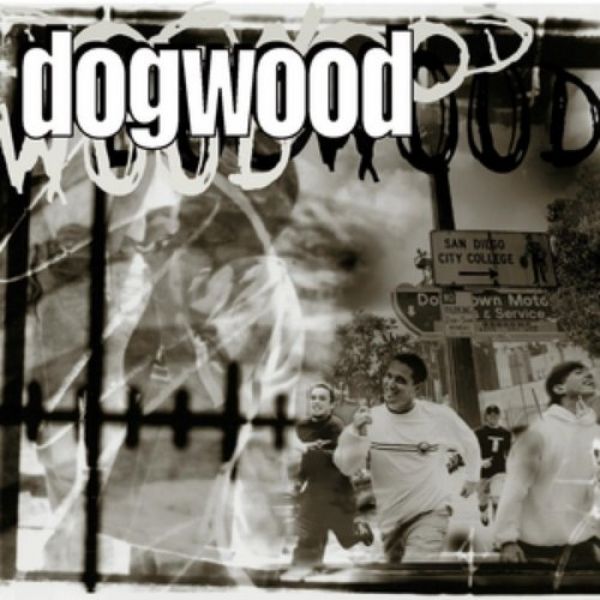 Album Dogwood - More Than Conquerors