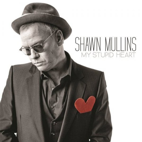 Album Shawn Mullins - My Stupid Heart