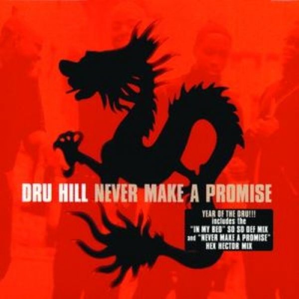 Album Dru Hill - Never Make a Promise