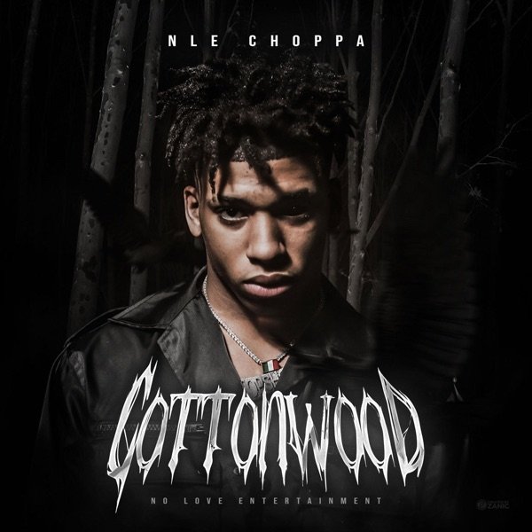 NLE Choppa Cottonwood, 2019
