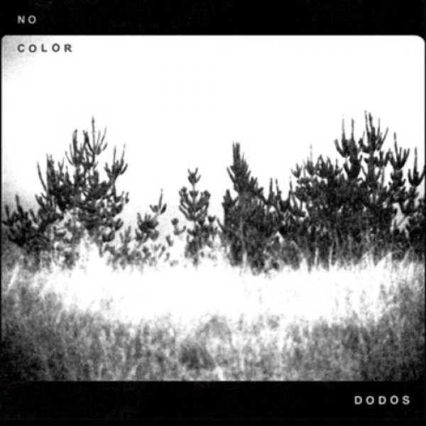 Album The Dodos - No Color