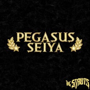 Pegasus Seiya Album 
