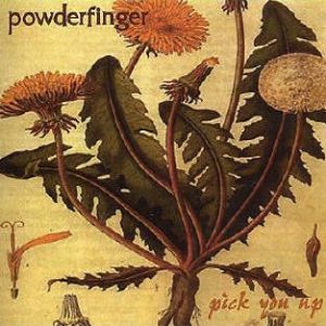Album Powderfinger - Pick You Up