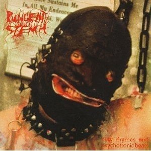 Dirty Rhymes & Psychotronic Beats - album