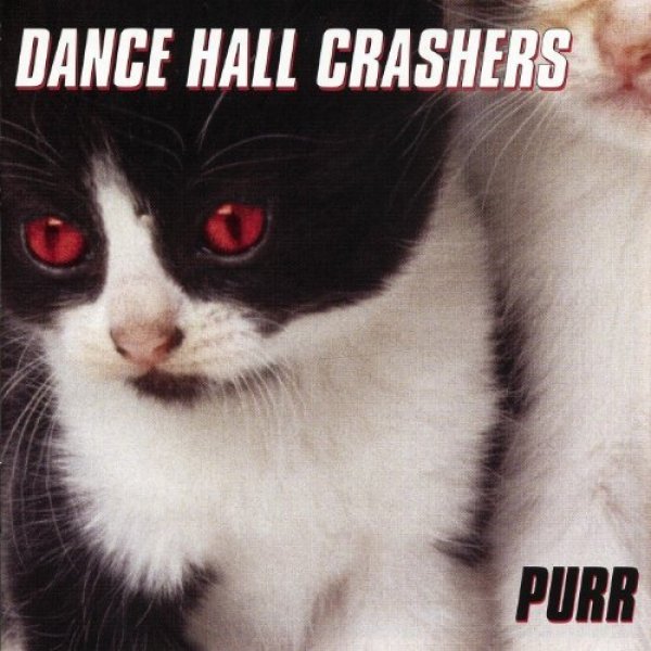 Album Dance Hall Crashers - Purr