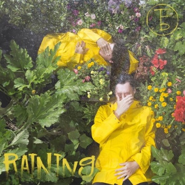 Album The Front Bottoms - Raining