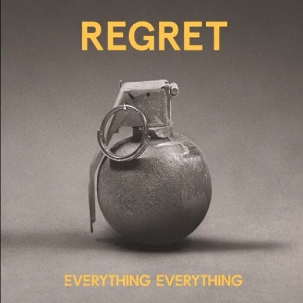 Album Everything Everything - Regret