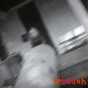 Album Sebadoh - Rocking the Forest