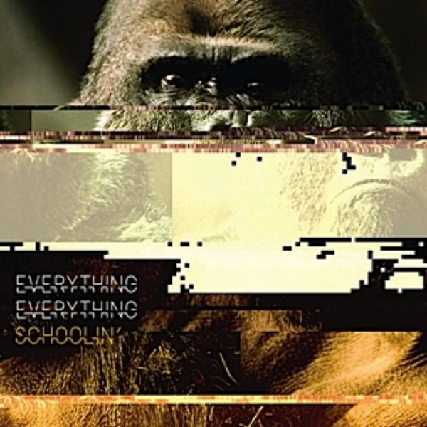 Album Everything Everything - Schoolin