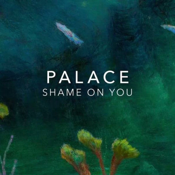 Shame On You - album