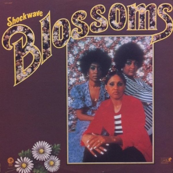 Album The Blossoms - Shockwave