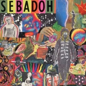 Album Sebadoh - Smash Your Head on the Punk Rock