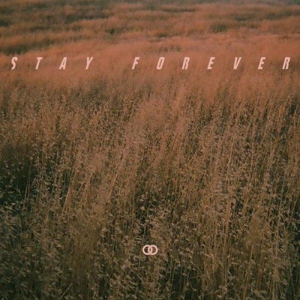 Album Stay Forever - Ookay