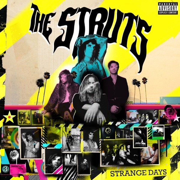 Album The Struts - Strange Days