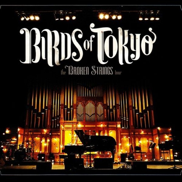 Birds of Tokyo The Broken Strings Tour, 2010