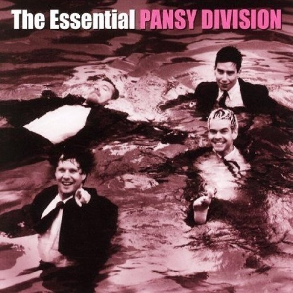 Album The Essential Pansy Division - Pansy Division
