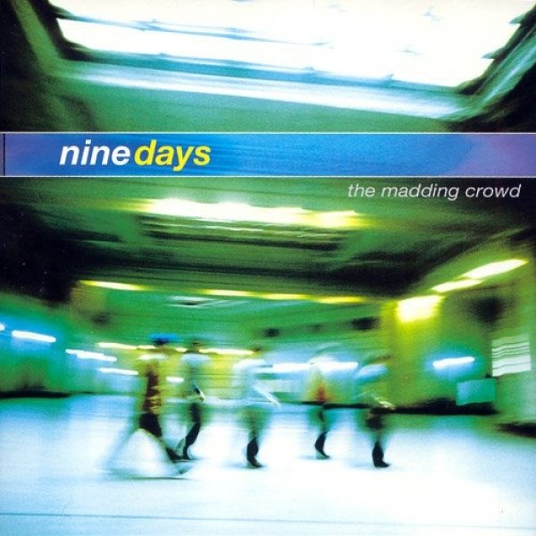 Album Nine Days - The Madding Crowd