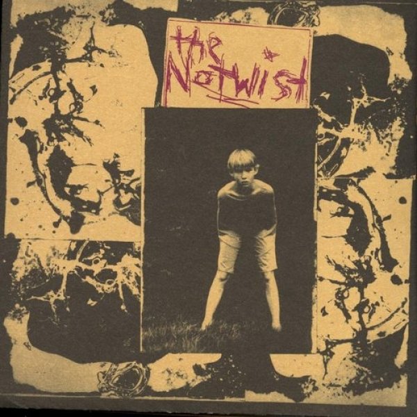 Album The Notwist - The Notwist