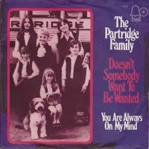 The Partridge Family Doesn't Somebody Want to Be Wanted, 1971