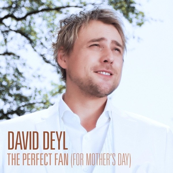 Album David Deyl - The Perfect Fan