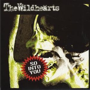 Album The Wildhearts - So Into You