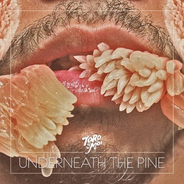 Album Toro y Moi - Underneath the Pine