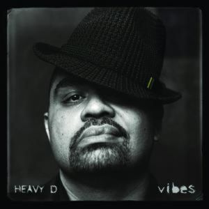Album Heavy D - Vibes
