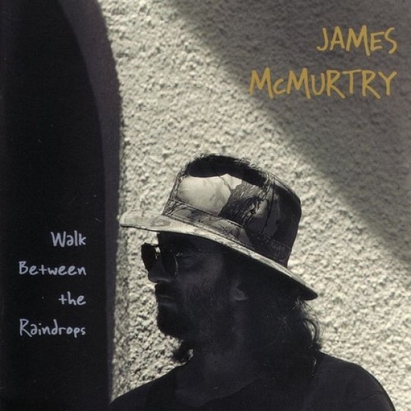 Album James McMurtry - Walk Between the Raindrops